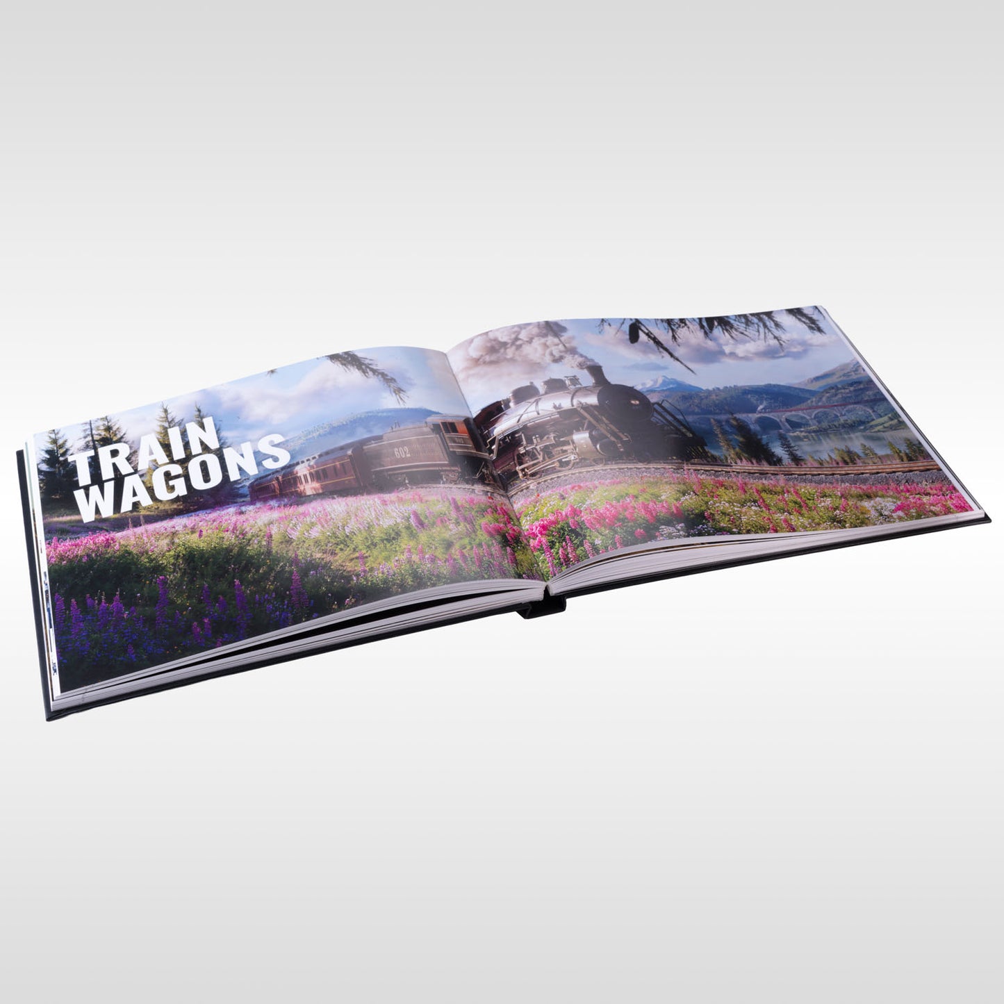 Transport Fever 3 Collector's Edition
